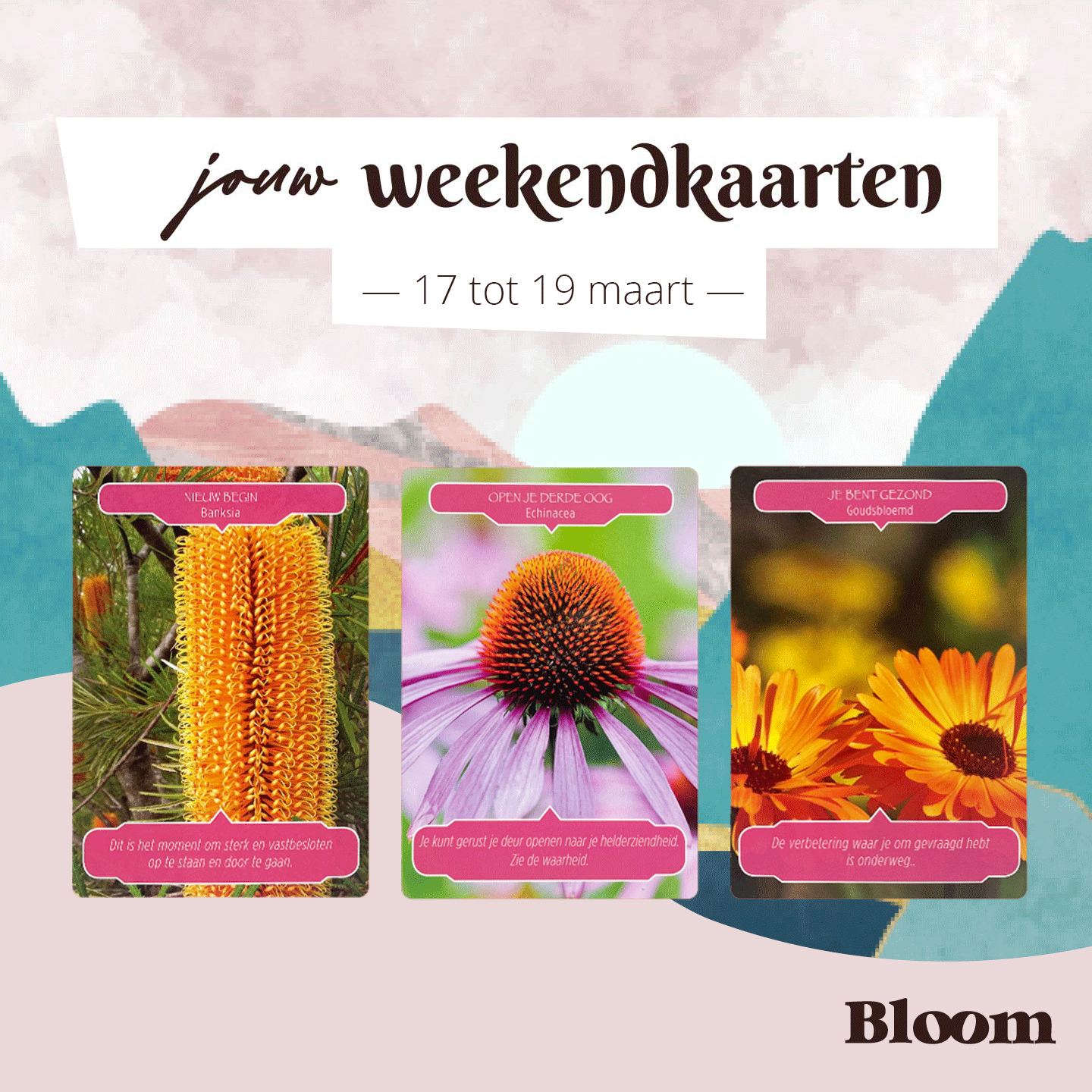 17 Maart 2023 Weekendkaart Bloom OMGEDRAAID