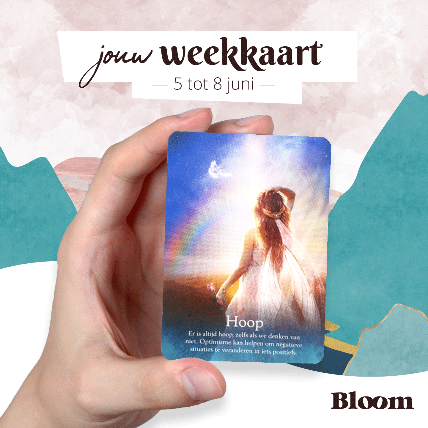 Weekkaart 05/06/2023 - 08/06/2023