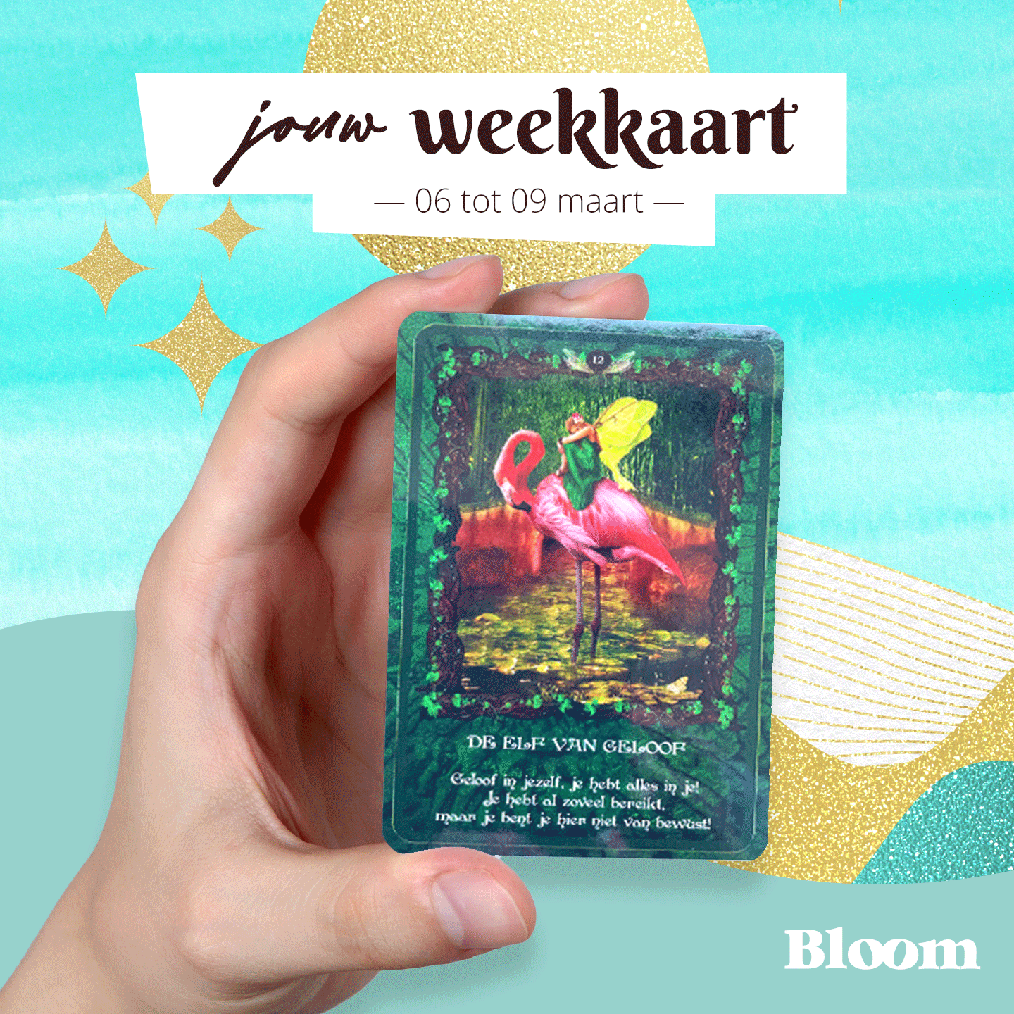 Weekkaart 06/03/2023 - 09/03/2023