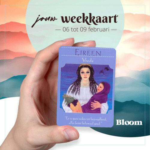 Weekkaart 06/02/2023 - 09/02/2023