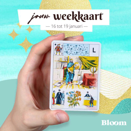 Weekkaart 23/01/2023 - 26/01/2023