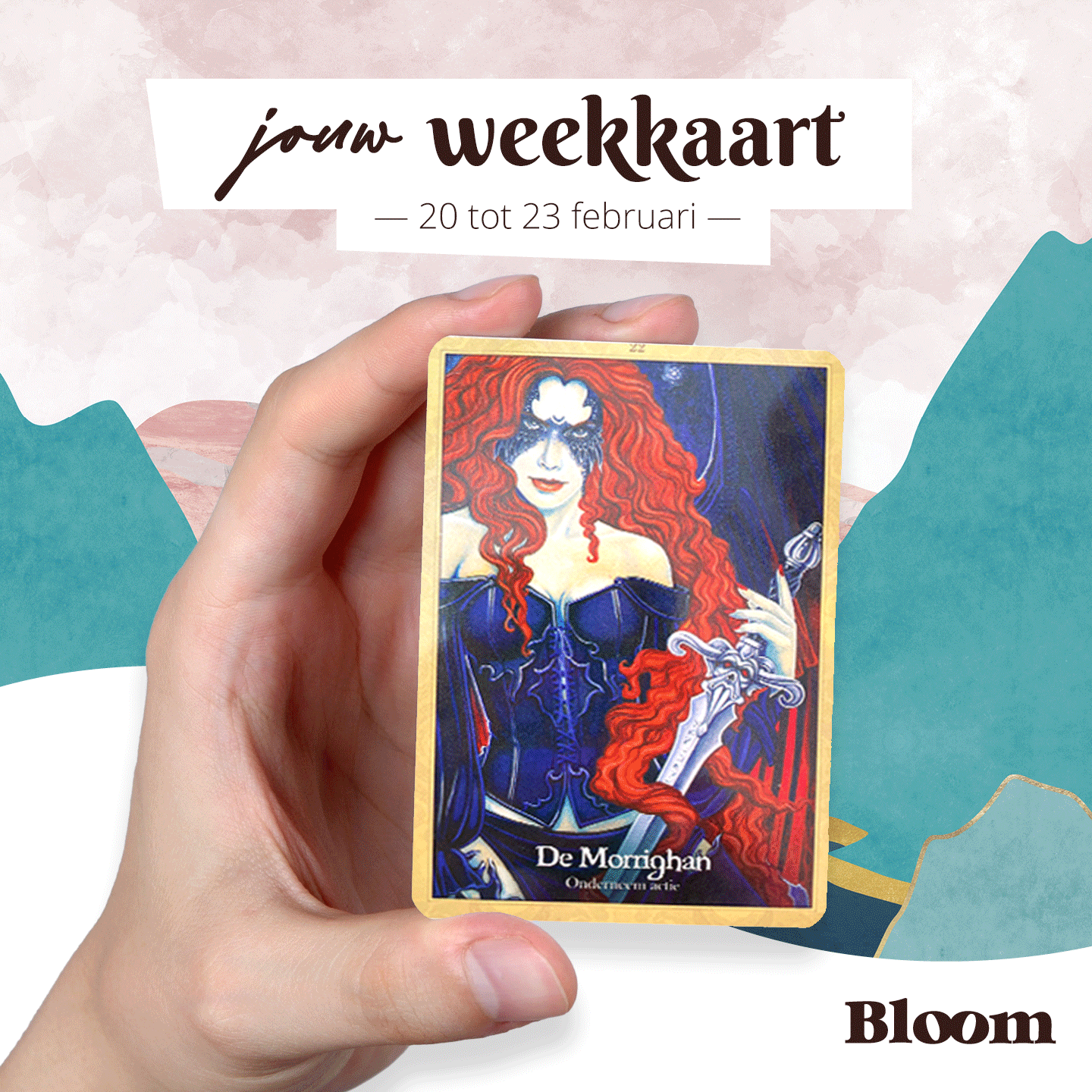Weekkaart 20/02/2023 - 23/02/2023