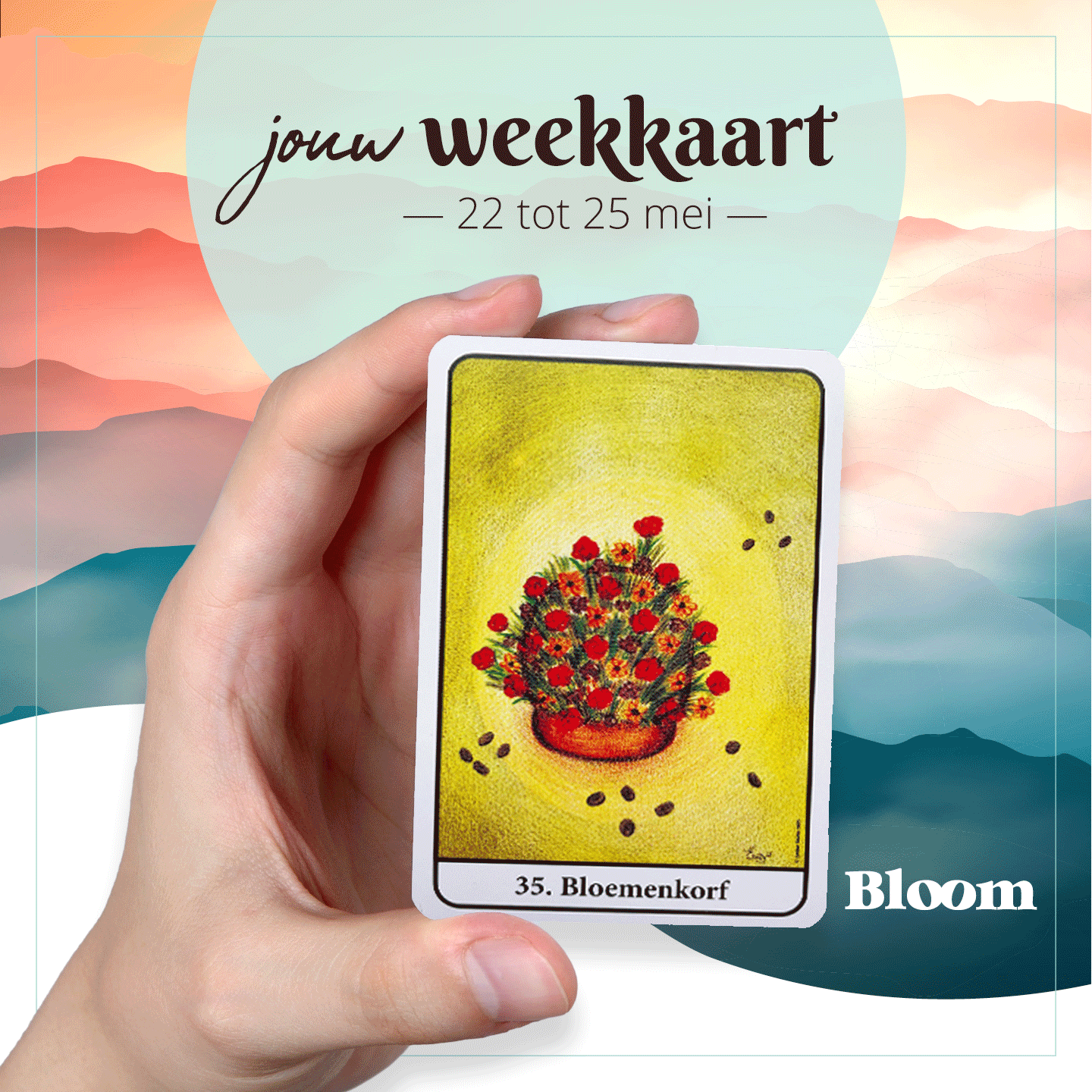 Weekkaart 22/05/2023 - 25/05/2023