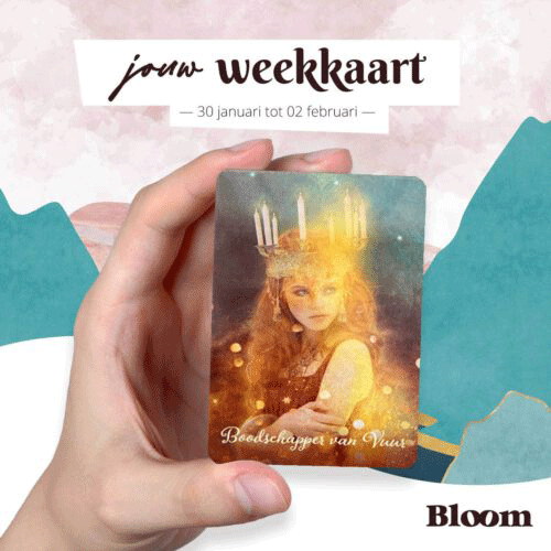 Weekkaart 30/01/2023 - 02/02/2023