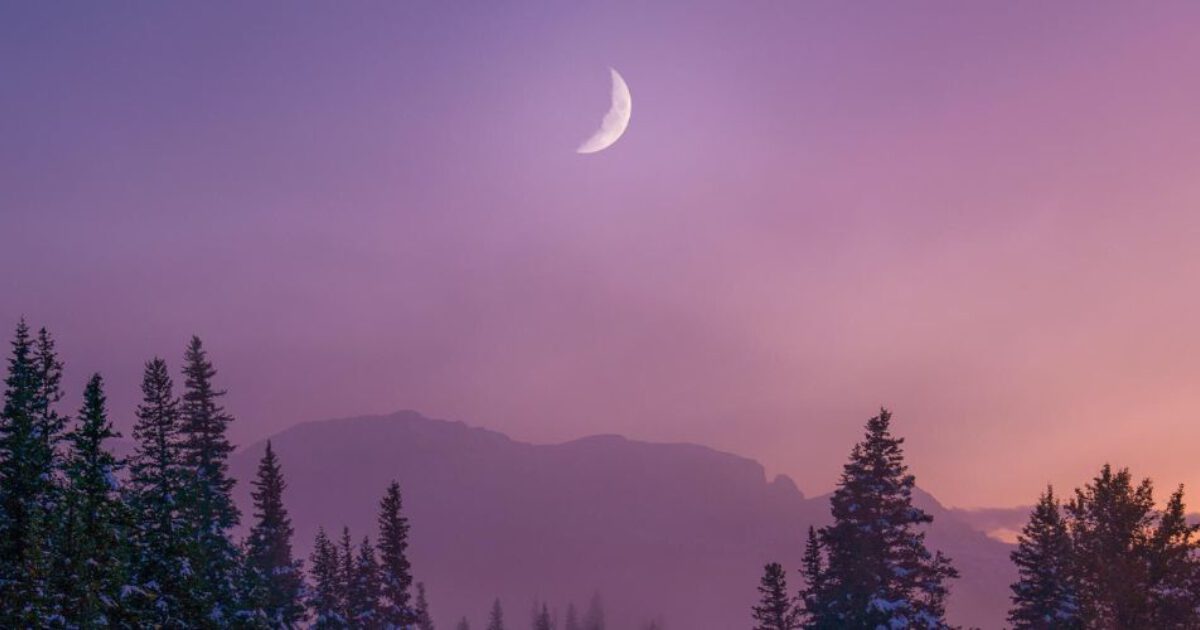 Leven in harmonie met de Maan | Bloom