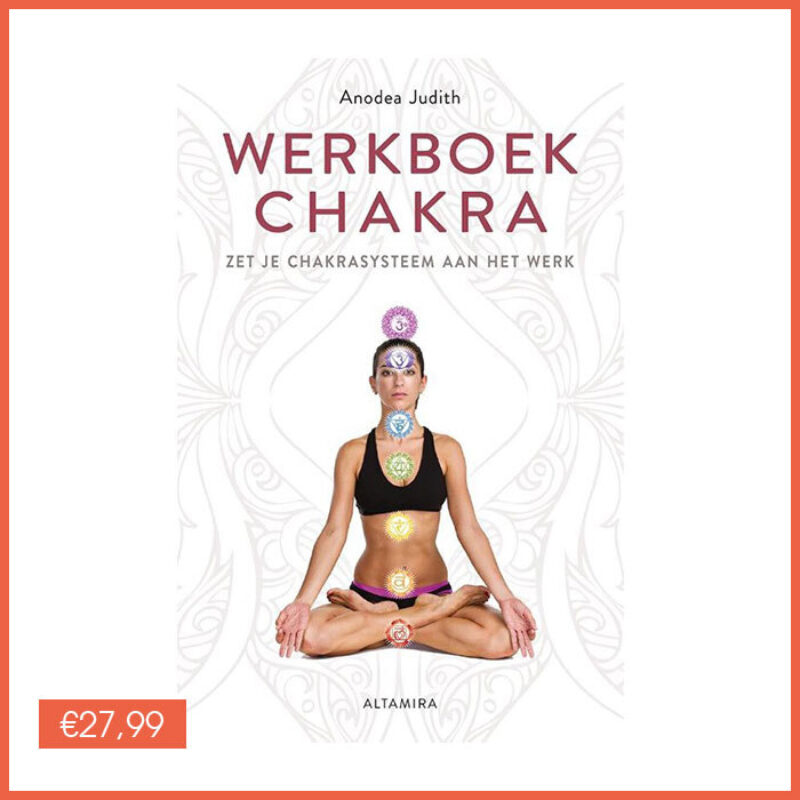 Chakra Werkboek Anodea Judith Bloom Shop Webwinkel