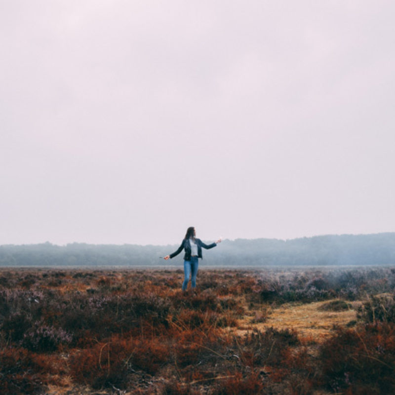 Topic De Wereld Is Een Toverbal Bloom 2 Web