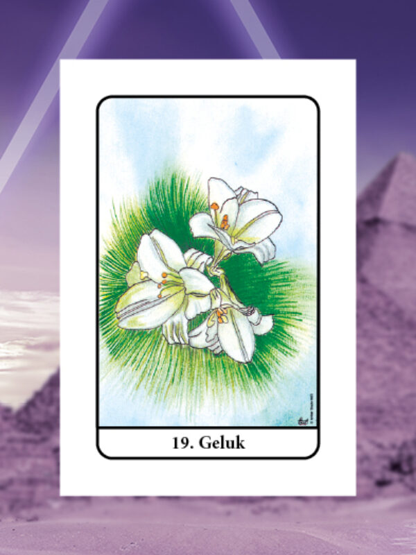 Geluk • Zon • Tarot van Isis Nummer 19