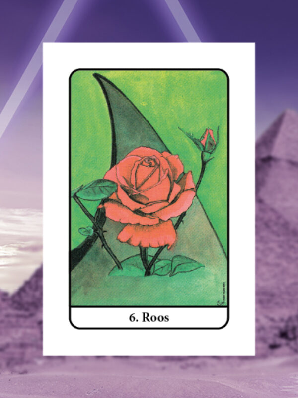 Roos • Geliefden • Tarot van Isis Nummer 6