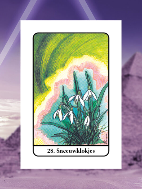 Sneeuwklokjes • Tarot van Isis Nummer 28