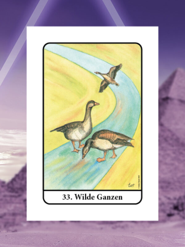 Wilde Ganzen • Tarot van Isis Nummer 33