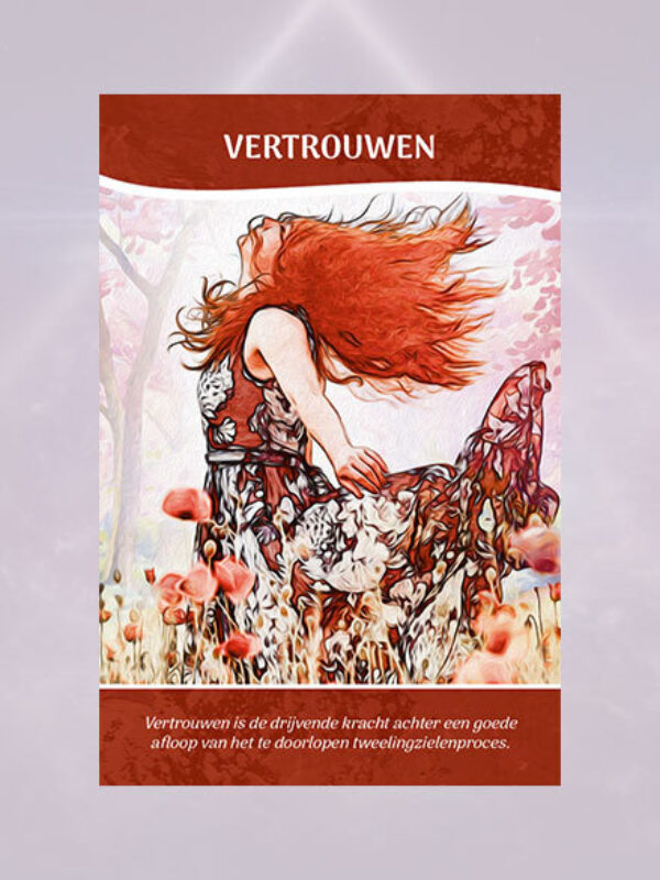 Vertrouwen