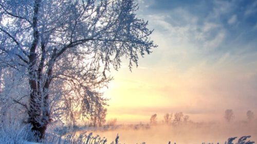 Bloom Cursus Ceremonie Waregem Keltisch Midwinter
