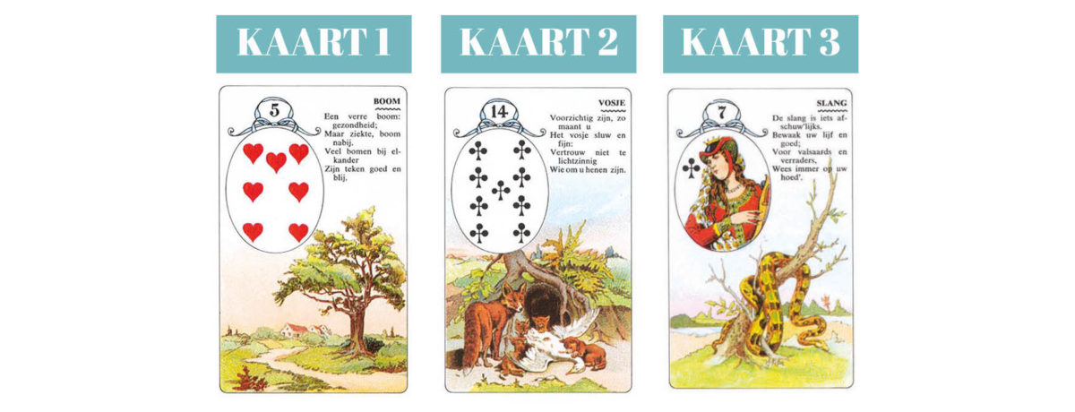 3 Kaarten Legging Lenormand Boom Vossen Slang