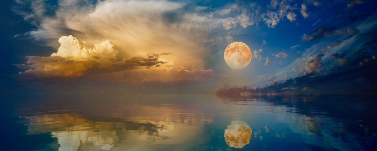 Astrologie Bloom Website Horoscopen