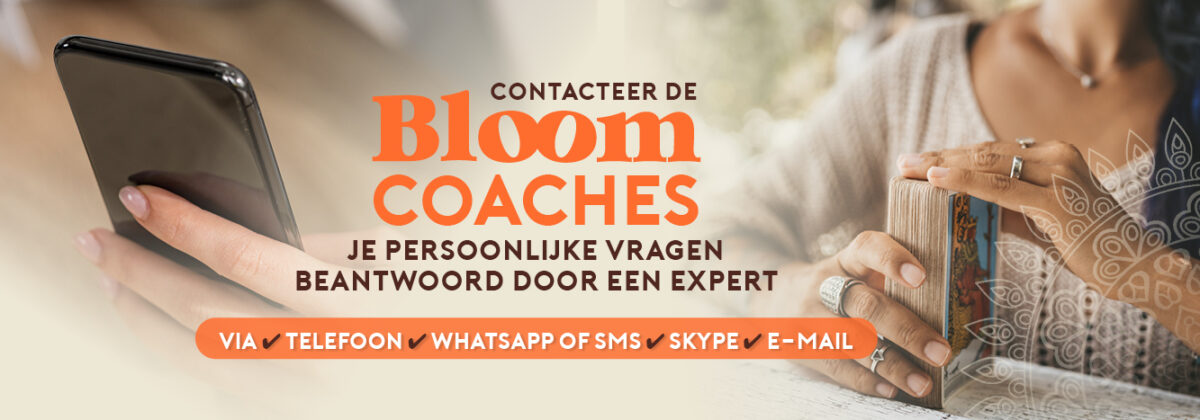 Bloom Online Coaching Banner web 2