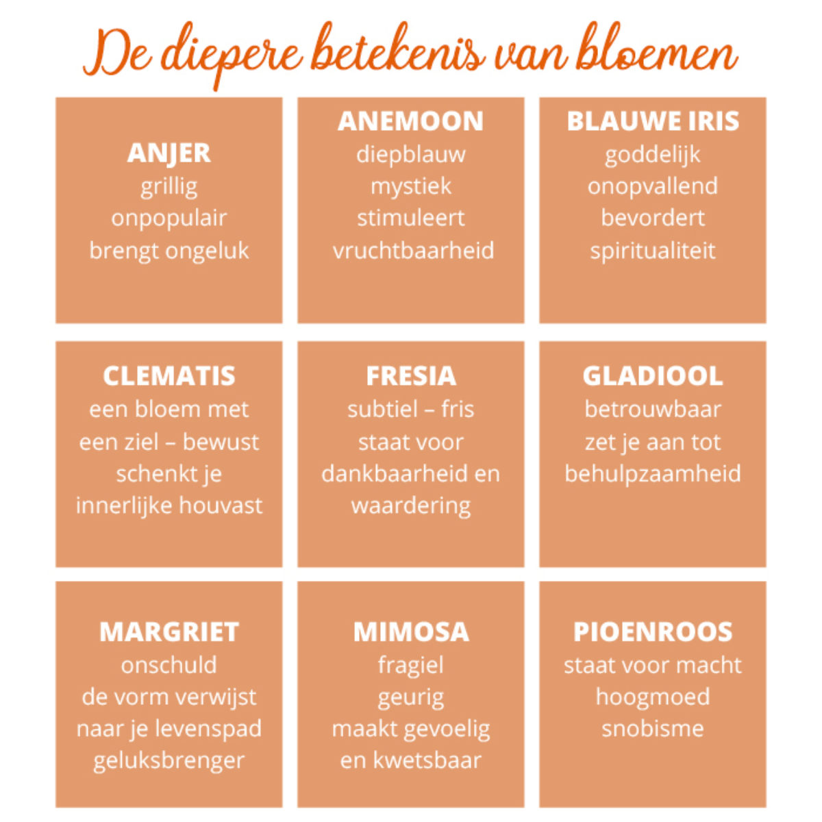 Boodschappen bloemen floriografie betekenig bloemen Bloom web