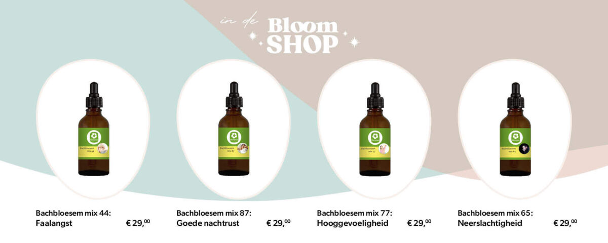 In de Bloom Shop Banner Bachbloesems