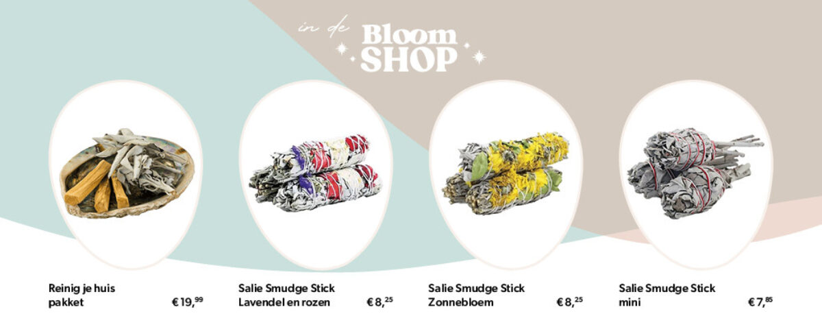 In de Bloom Shop Salie