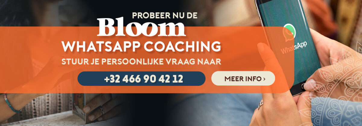 Whatsapp coaching consult