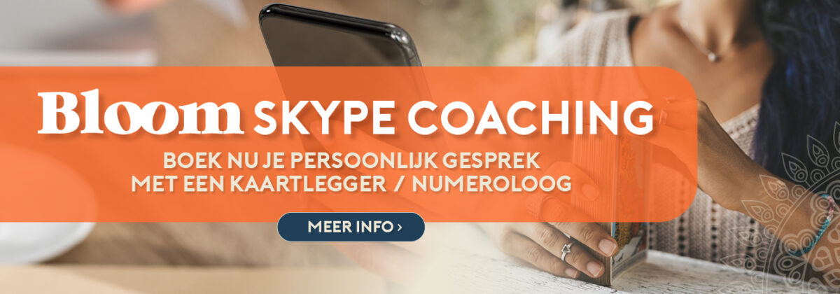 Skype coaching videogesprek consult platte banner Bloom web
