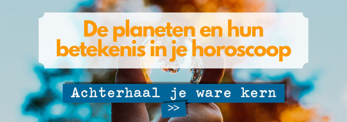 Webshop banner planeten Bloom website