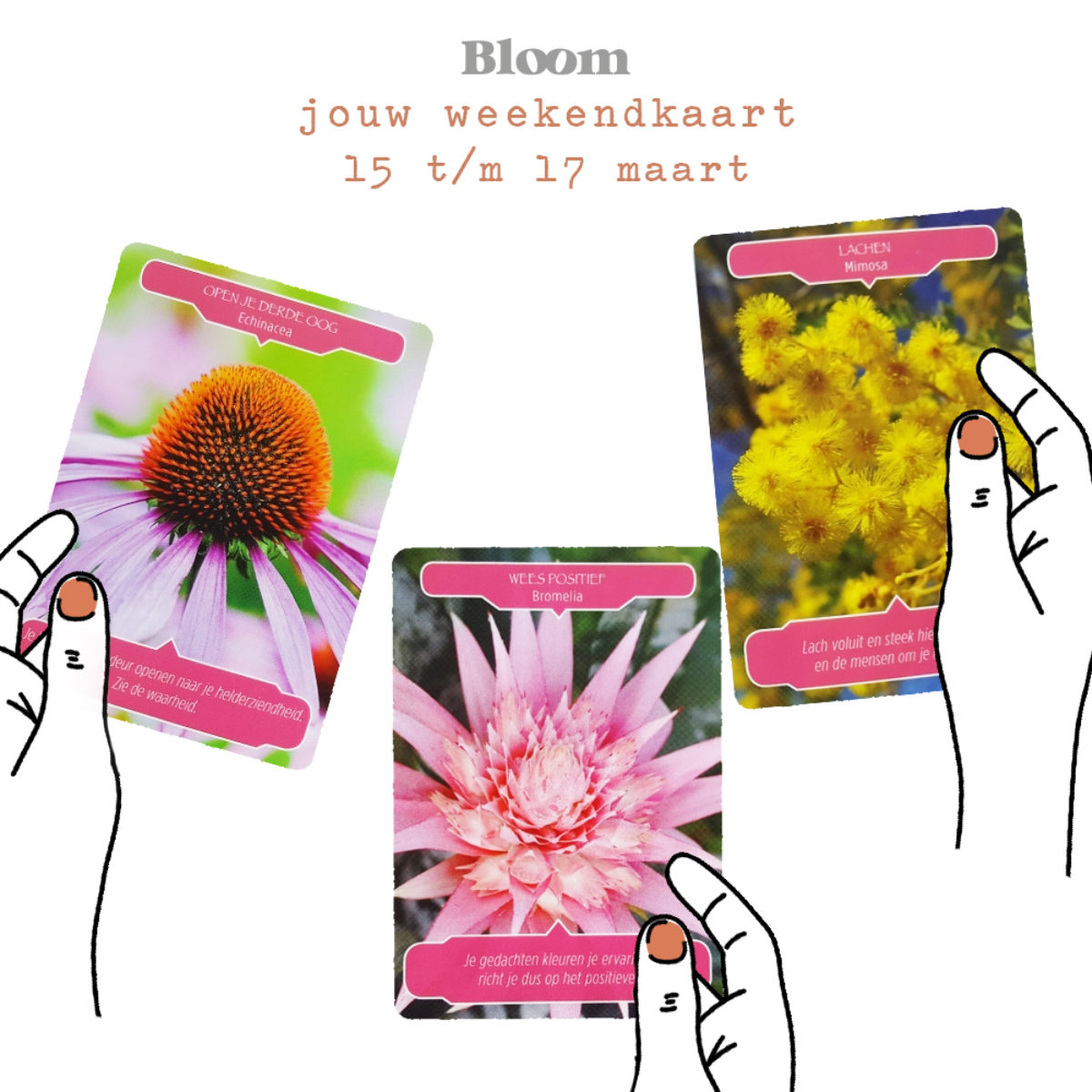 Weekendkaart-omgedraaid-15ma-Bloom-web