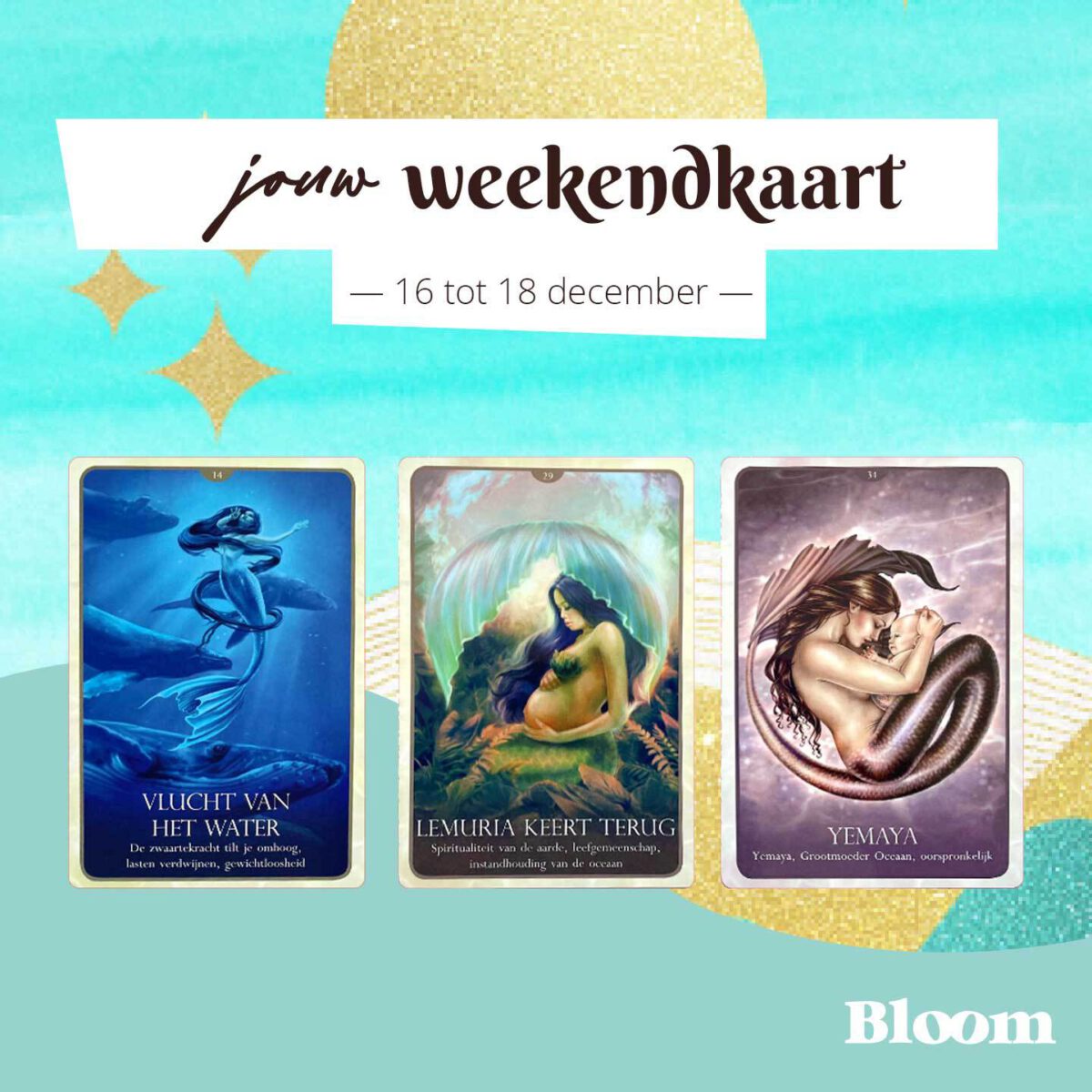 Weekkaart Bloom 16 December 2022 OMGEDRAAID