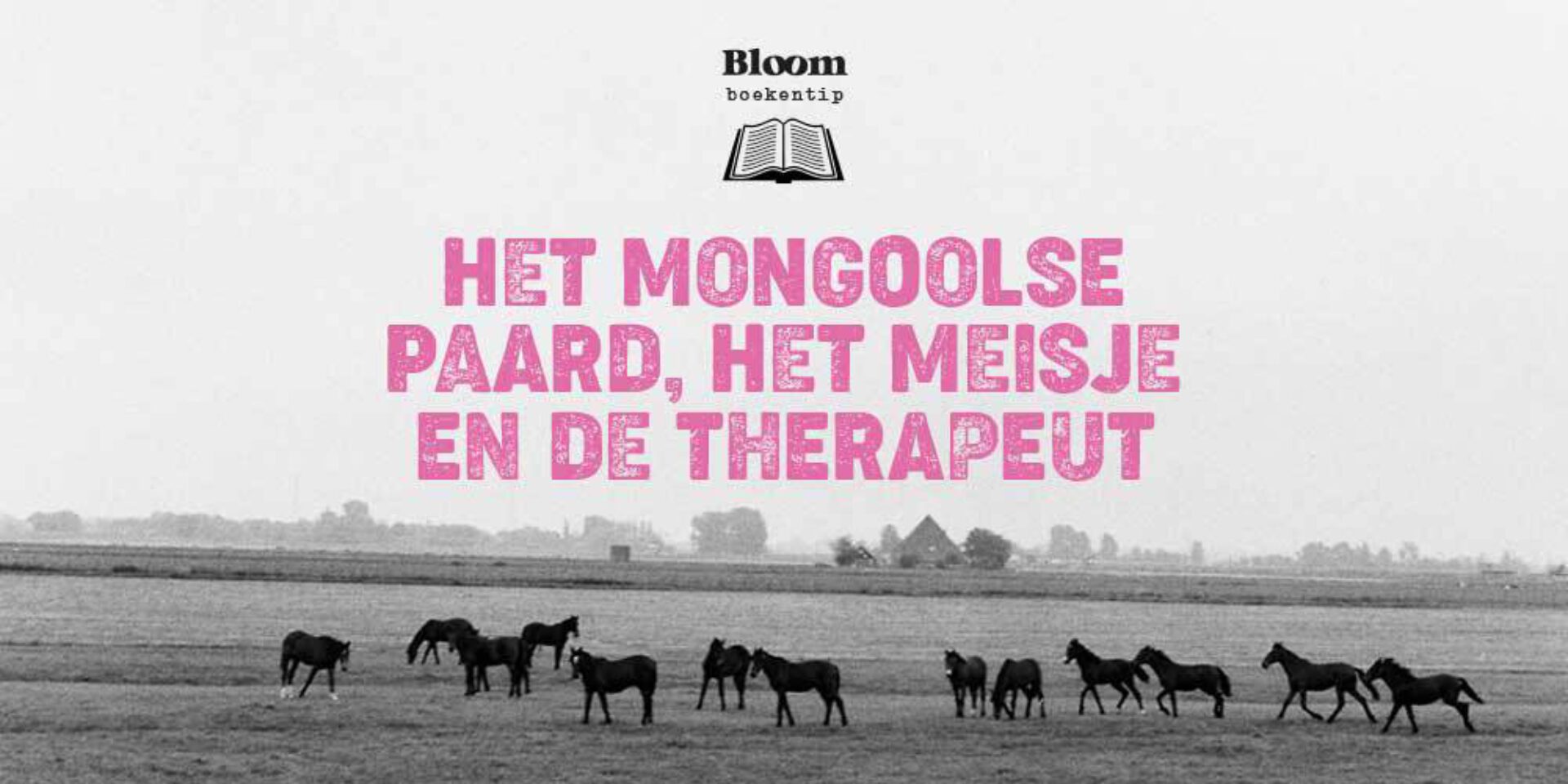 Boekreview: Het Mongoolse paard, het meisje en de therapeut