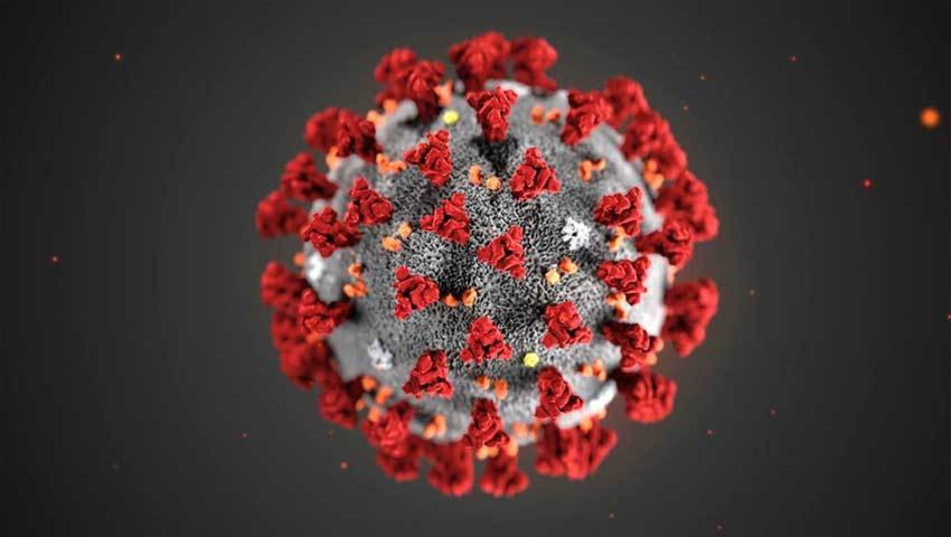 Hoe lang houdt het coronavirus ons nog in zijn greep?