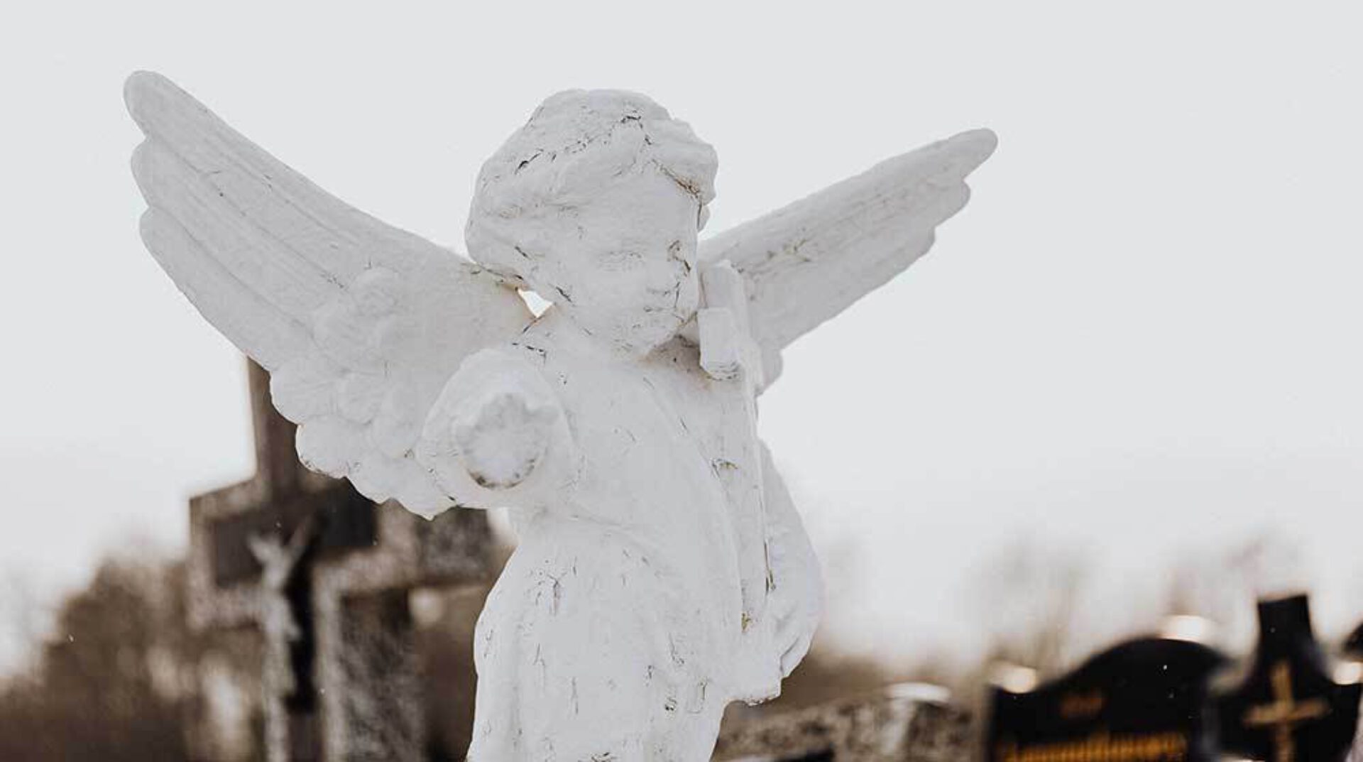 Goddelijk gezelschap: engelen & gidsen