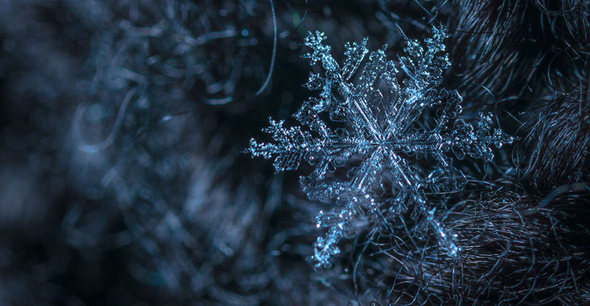 Midwinter (21 december) - De kortste dag, de langste nacht