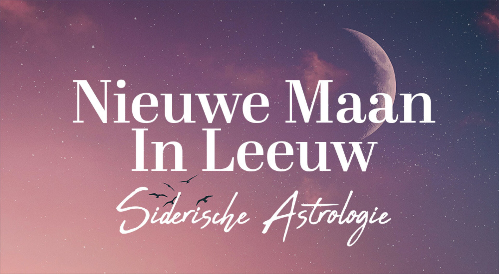 Siderische astrologie: de Nieuwe Maan in Leeuw op 27 augustus 2022