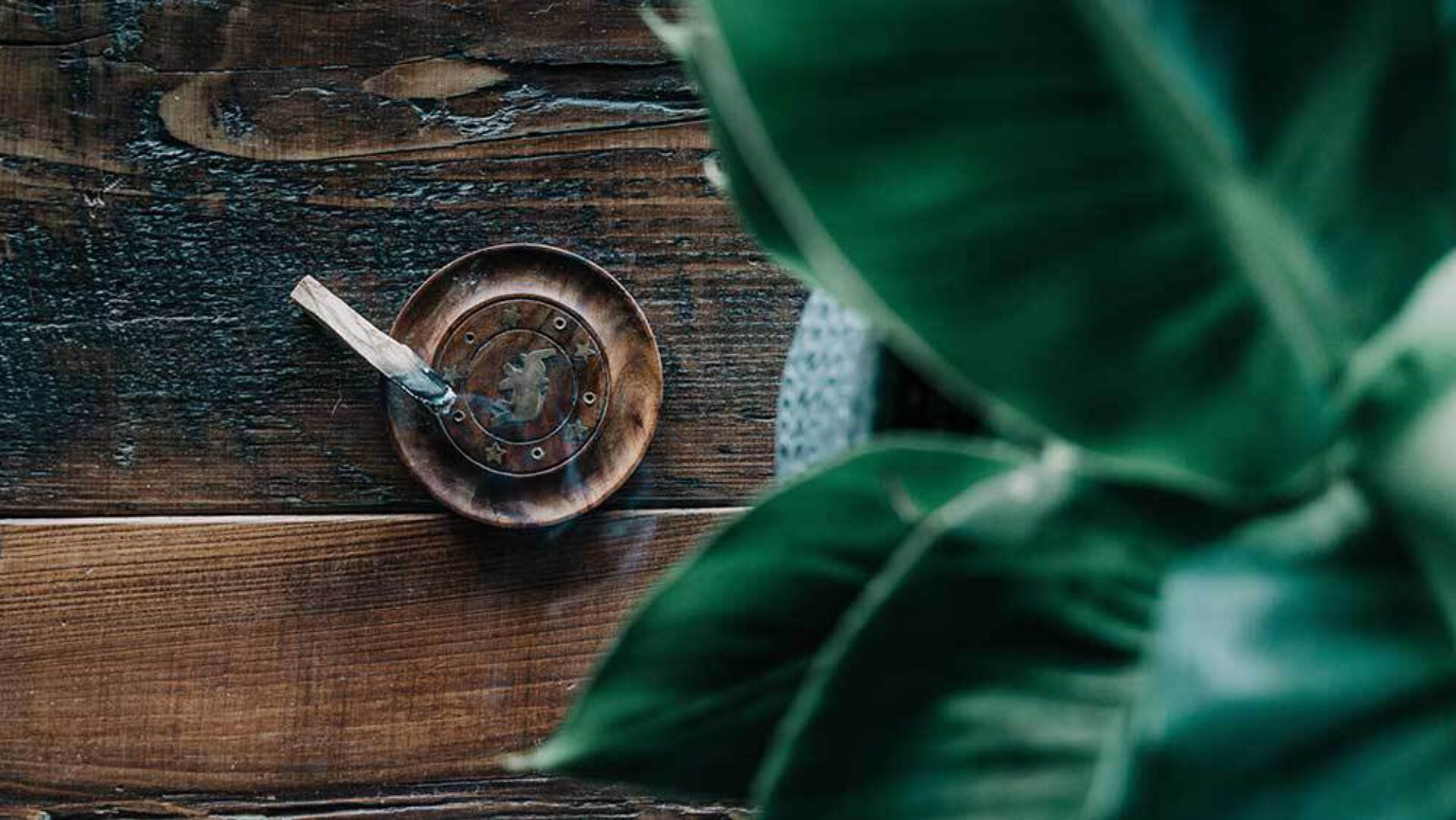 Palo Santo: wat is het en hoe gebruik je het?