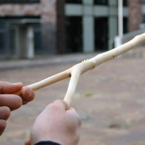 Alles Over Aardstralen Patrick Vandendriessche Lezing Workshop Spirituele Expo Beurs Bloom Web