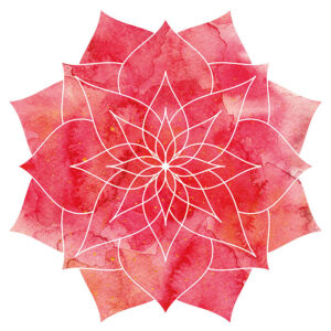 Ayurveda wijsheid tips mandala pitta dosha Bloom web