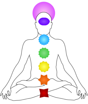 Chakras Bloom web