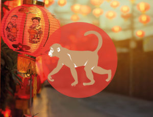 Chinese Teken Dierenriem Aap Bloom Nieuwjaar