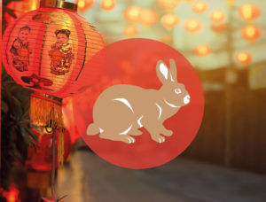 Chinese Teken Dierenriem Konijn Bloom Nieuwjaar