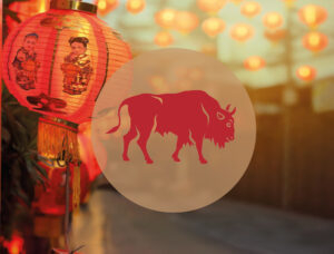 Chinese Teken Dierenriem Os Bloom Nieuwjaar 2021
