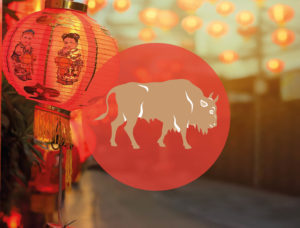 Chinese Teken Dierenriem Os Bloom Nieuwjaar