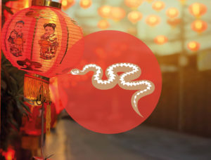 Chinese Teken Dierenriem Slang Bloom Nieuwjaar