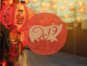 Chinese Teken Dierenriem Varken Bloom Nieuwjaar 2020