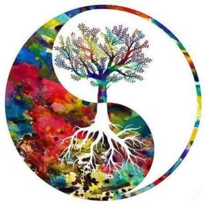 Gezondheidspraktijk anders denken Bloom web