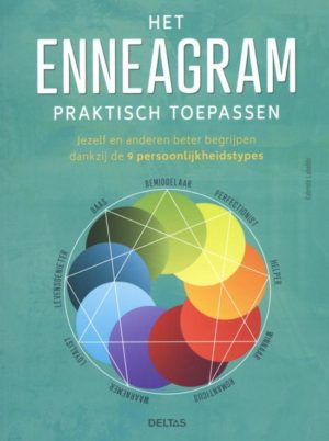 Het enneagram praktisch toepassen Gabriele Labudde 9789044751581 boek Bloom web