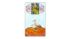 Lenormand kaarten Ooievaar Bloom web