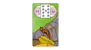 Lenormand kaarten Vos Bloom web