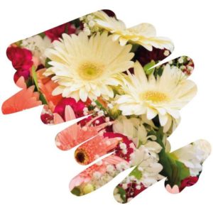 Levensgenieter of asceet doe de test spontaan bloemen Bloom web