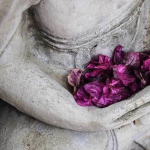 Lezing Yoga van de geest Majken Klom Spirituele beurs expo Bloom web