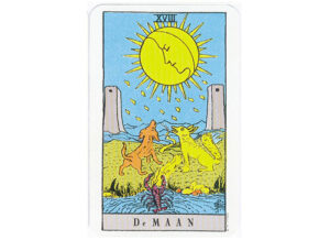 Tarot De Maan Bloom web